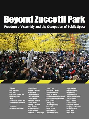 cover image of Beyond Zuccotti Park
